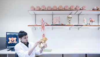 Examining a pelvis