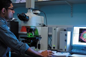 Researcher undertaking Fluorescence-Microscopy