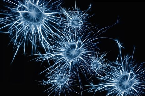 Neurons - Image from www.pixabay.com