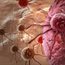Case studies by clinical area
