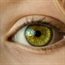 NuVision - healing corneal disease and trauma