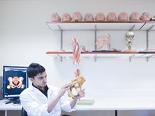 Examining a pelvis