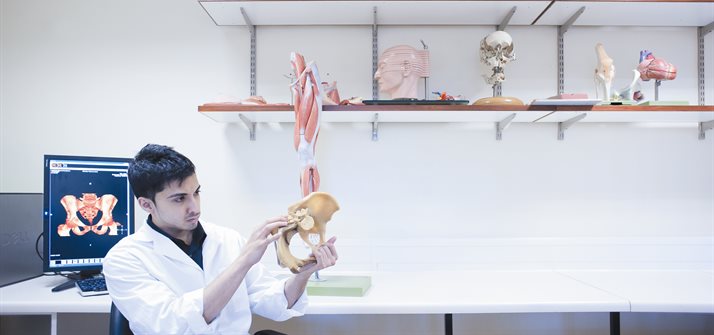 Examining a pelvis