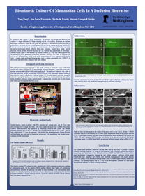 Biomimetic Culture Of Mammalian Cells In A Perfusion Bioreactor