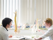 Studying the spine