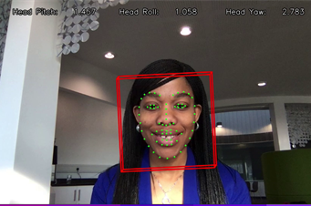 Facial recognition - courtesy of BlueSkyeAI