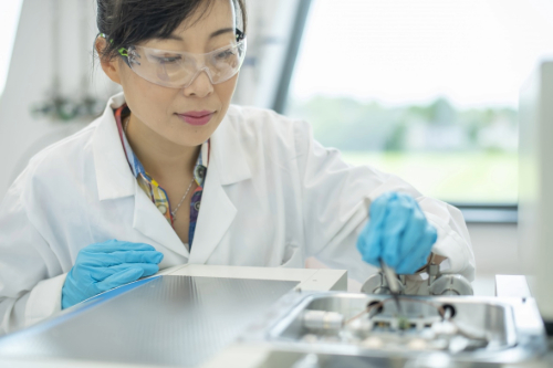 Facilities and Expertise Lab Technician