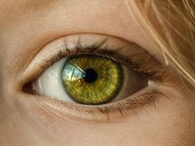 Eye - from www.pixabay.com