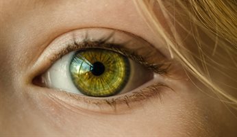 Eye - from www.pixabay.com