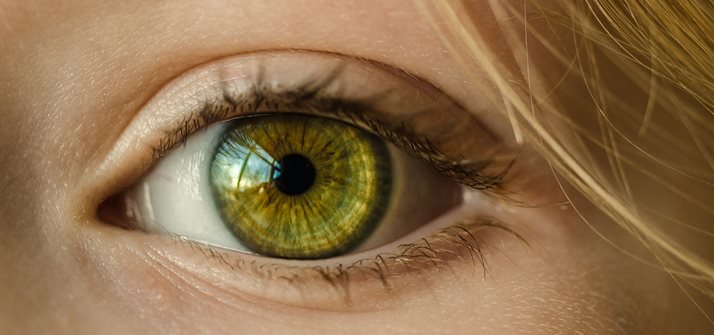 Eye - from www.pixabay.com