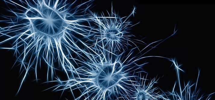 Neurons - Image from www.pixabay.com