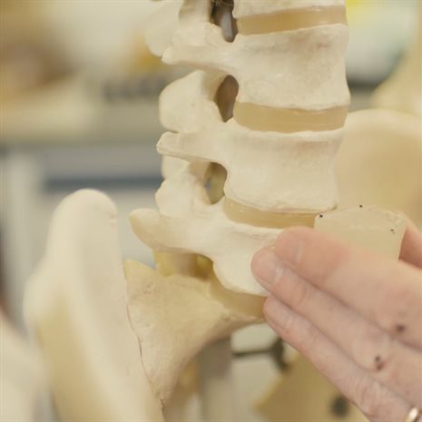 spine and implant